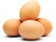 vendita uova allevamento a terra bisceglie